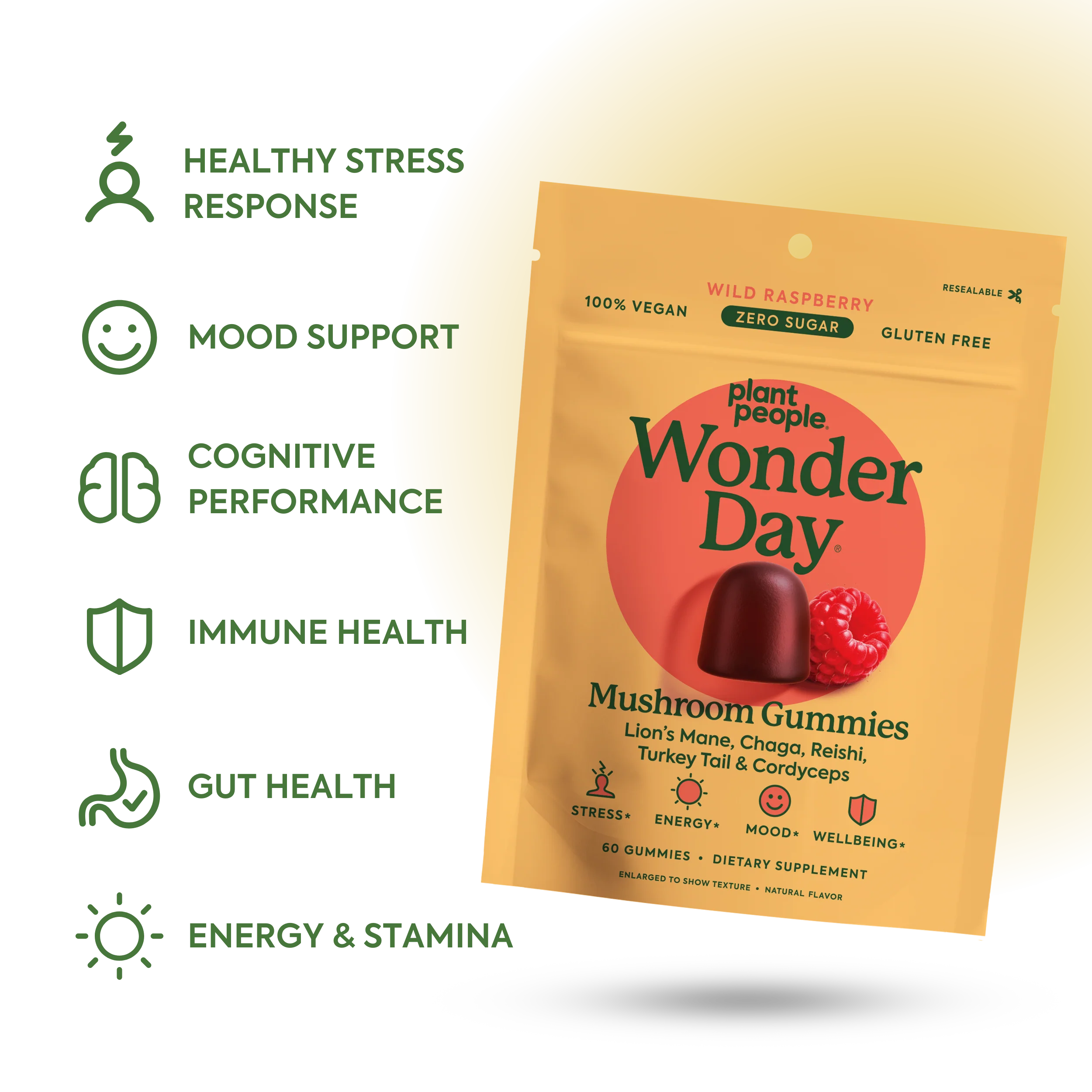 Wonder Variety Bundle - Image 5