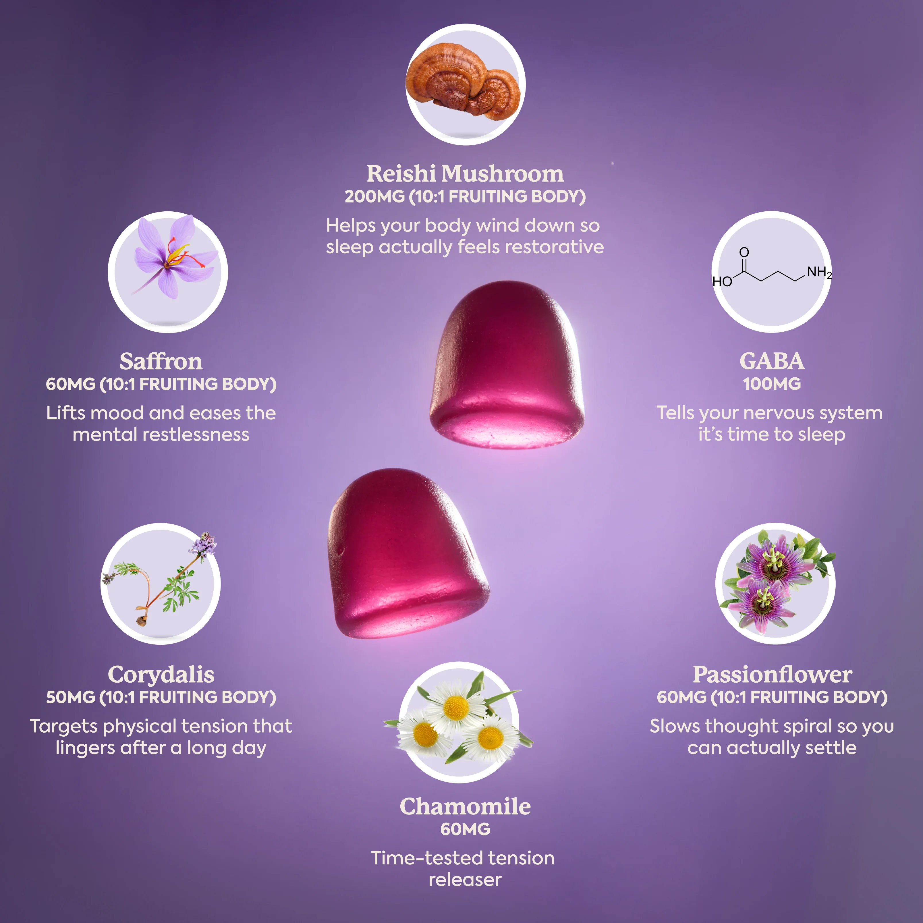 WonderSleep Mushroom Gummies - Image 5